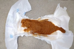 2019-07-21-11.58.57