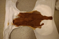 2019-08-31-10.26.53-1