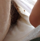 Peek Inside