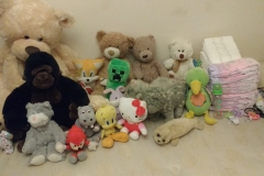 IMG_20160222_234237877